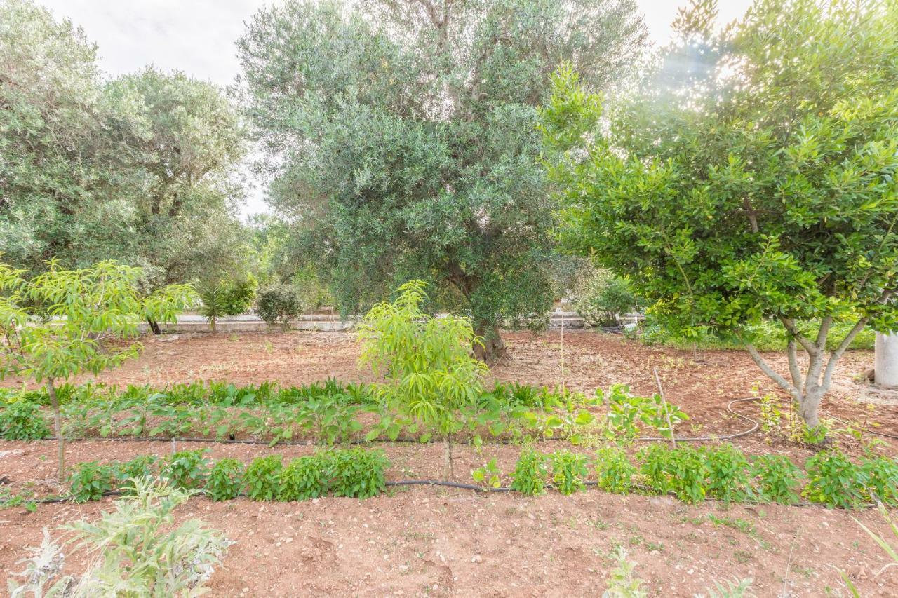 Lamia Di Nonna Mena Villa San Vito dei Normanni Exterior photo